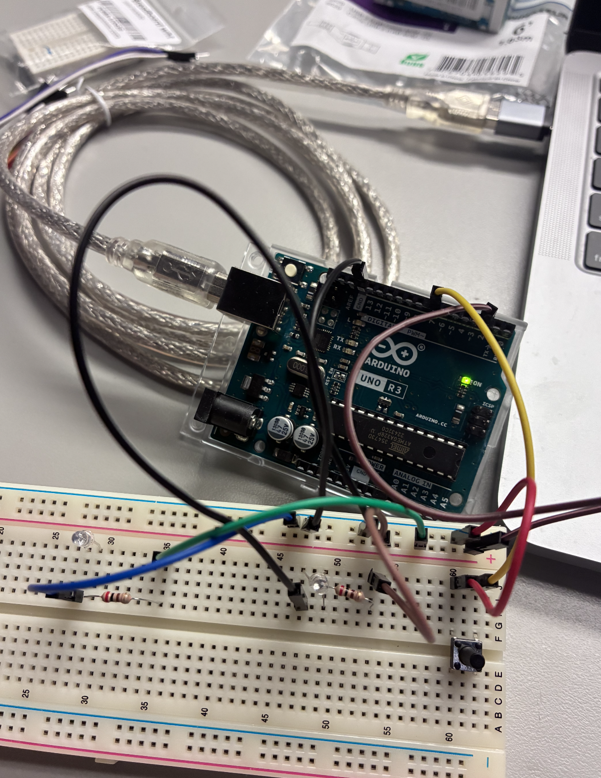 A small button joins the circuit, allowing the LEDs to turn on and off with a press.